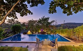 Shiva Valley By Rock Forest